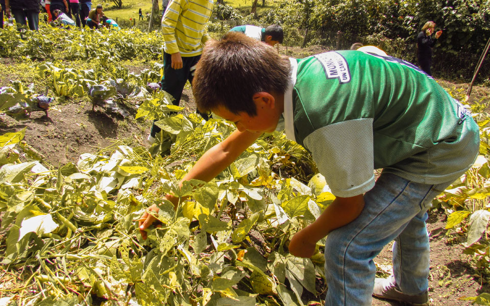 Fundación Formemos