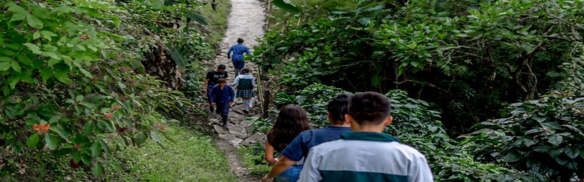 Agradecer es vivir: conoce la Red De La Gratitud