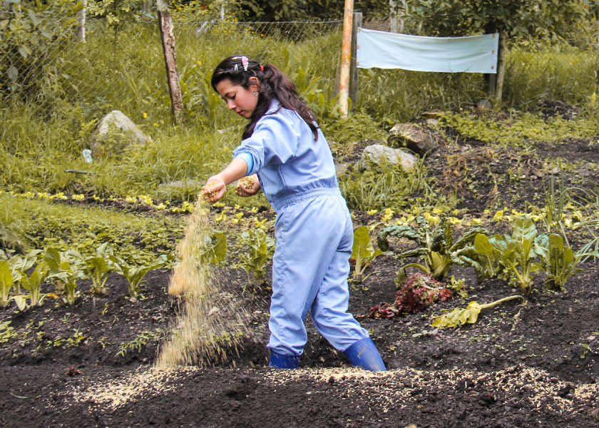 ECOPEDAGOGICAL VISITS